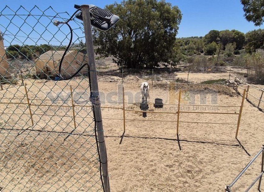 Återförsäljning - Fristående villa -
Torrevieja - Los Balcones