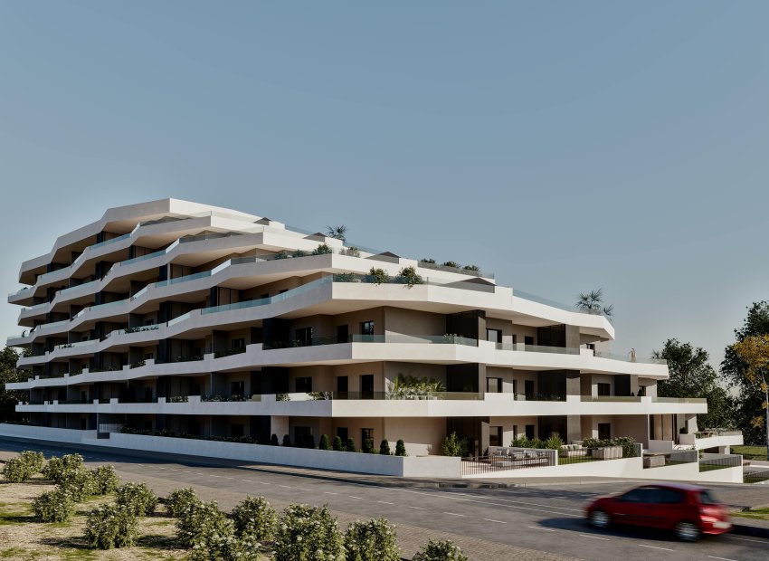 Neue Gebäude - Wohnung -
San Miguel de Salinas