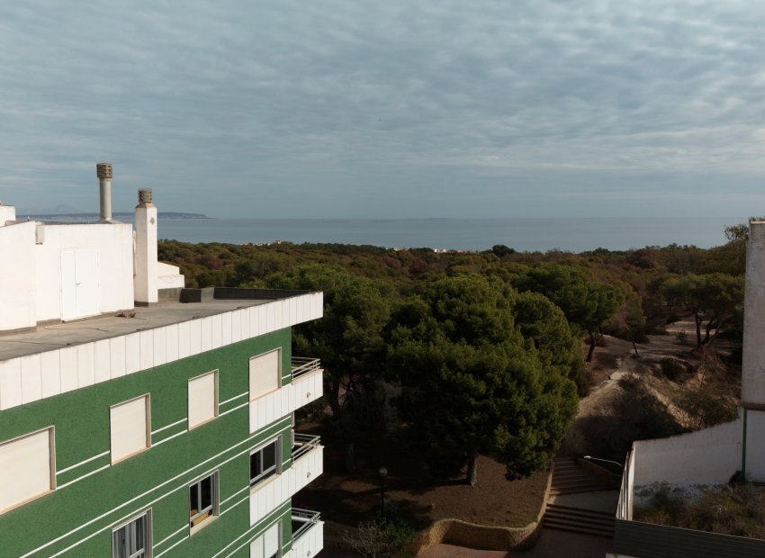 New Build - Apartment / Flat -
Guardamar del Segura
