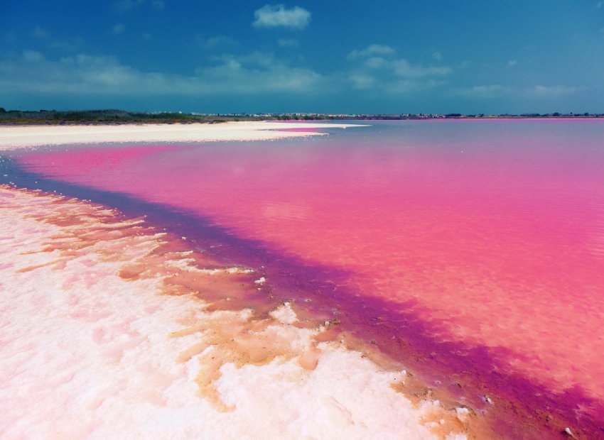 New Build - Detached Villa -
Los Montesinos