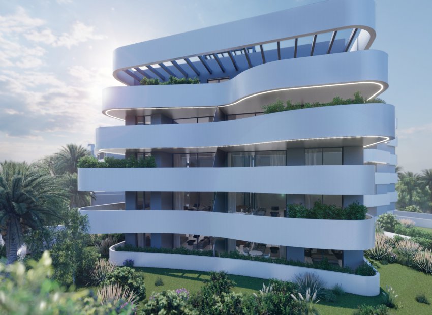 Nouvelle construction - Appartement -
Guardamar del Segura