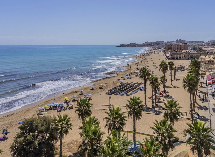 Nouvelle construction - Appartement -
La Mata