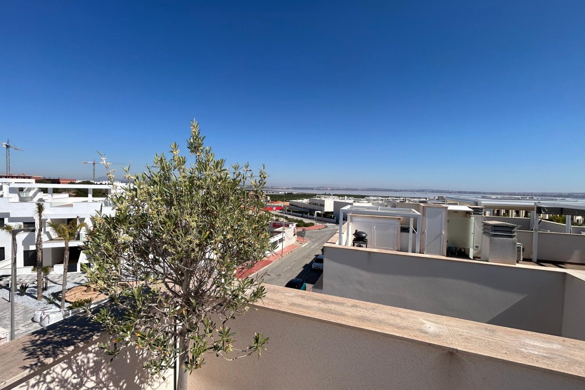 Nouvelle construction - Appartement -
Torrevieja