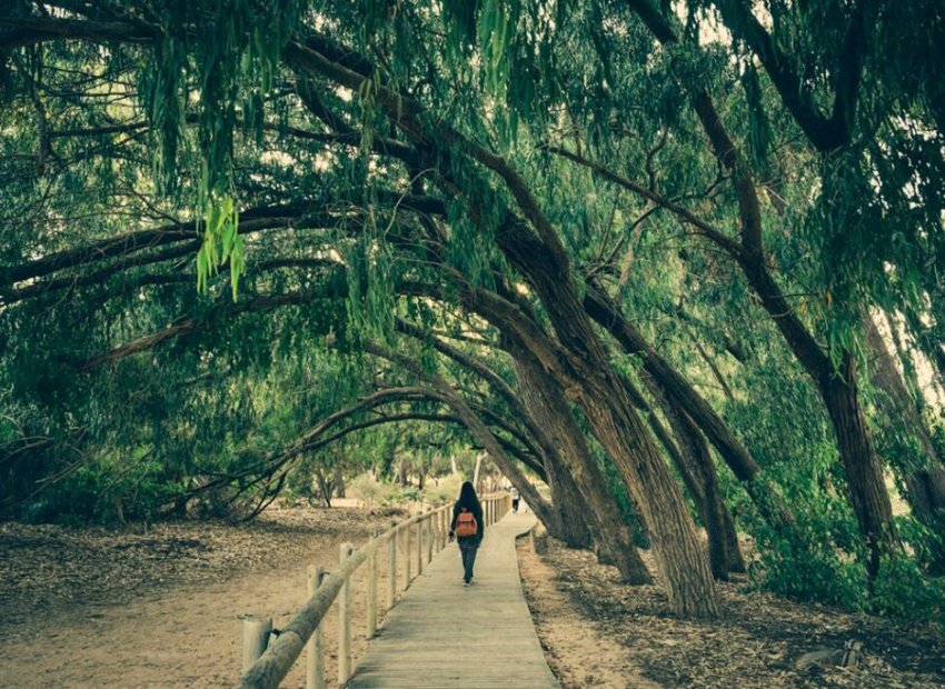 Nybygg - Frittliggende villa -
Los Montesinos