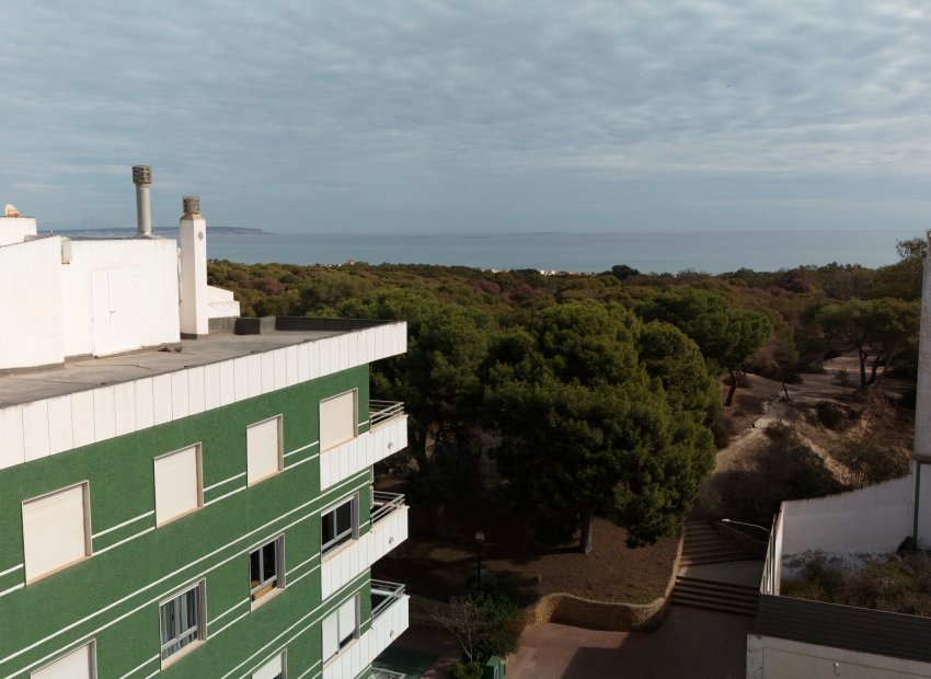Nybygg - Leilighet -
Guardamar del Segura
