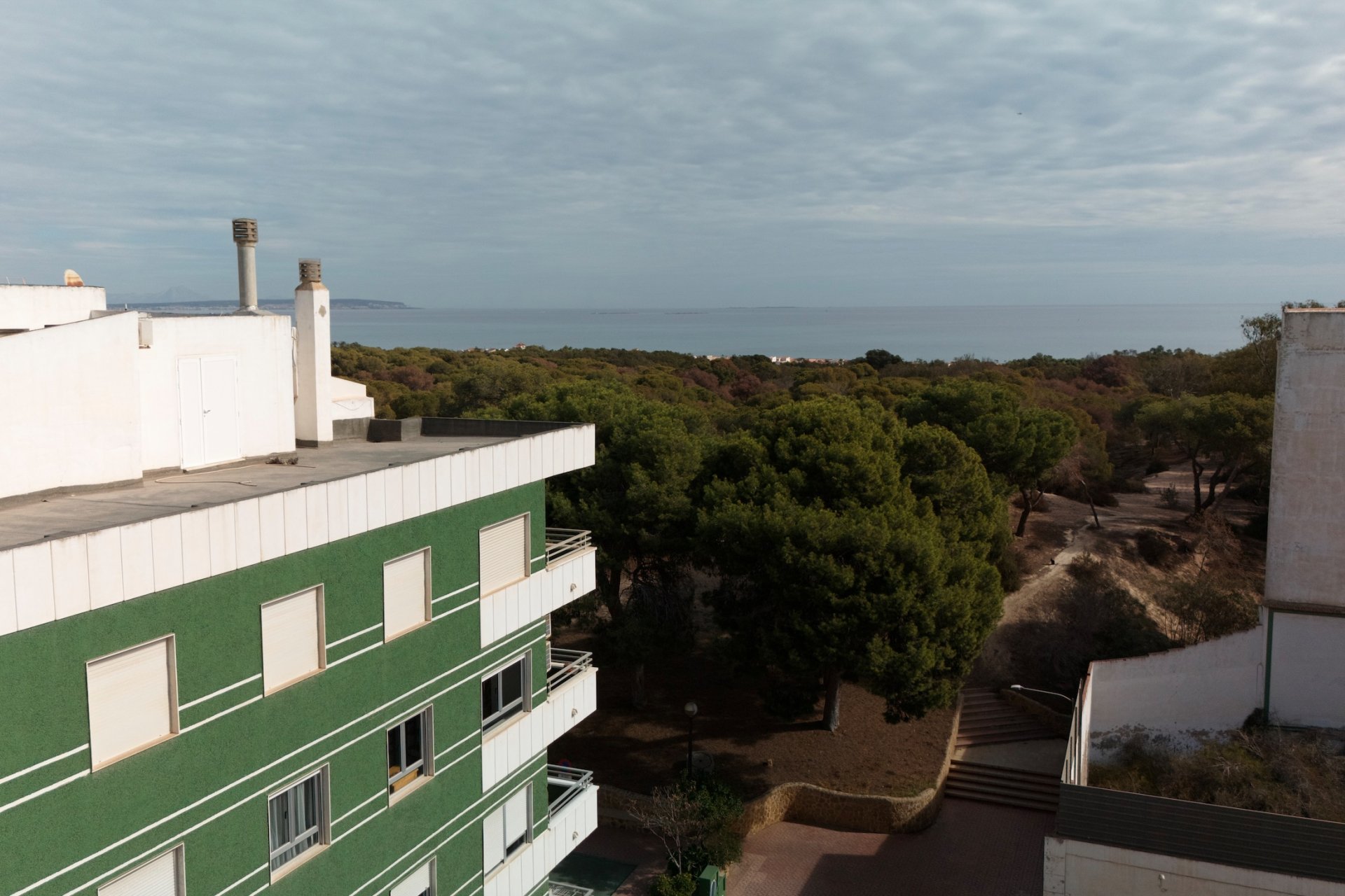 Nybygg - Leilighet -
Guardamar del Segura