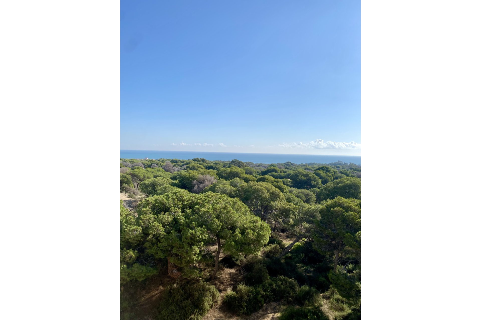 Nybygg - Leilighet -
Guardamar del Segura