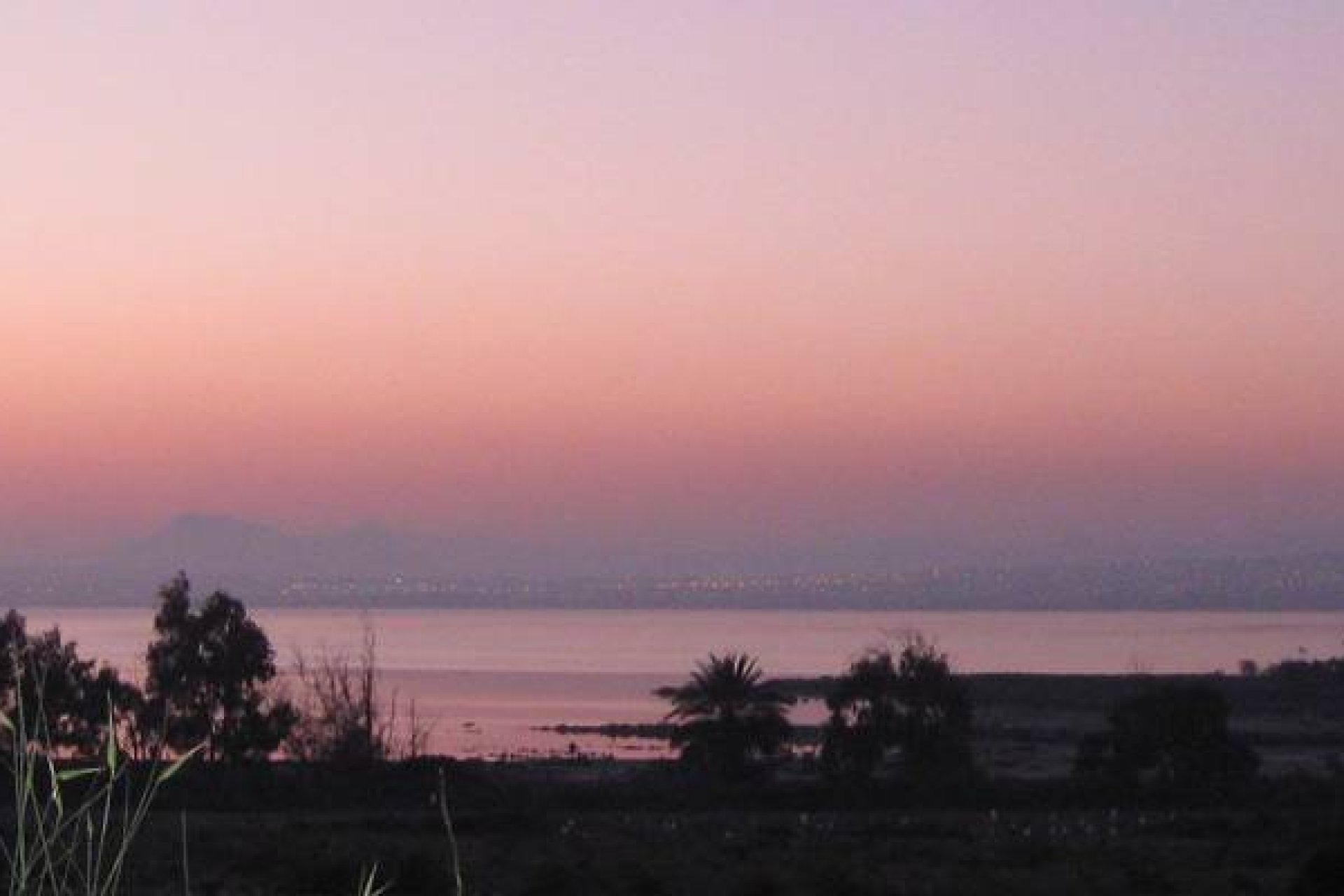 Nybygg - Leilighet -
Guardamar del Segura