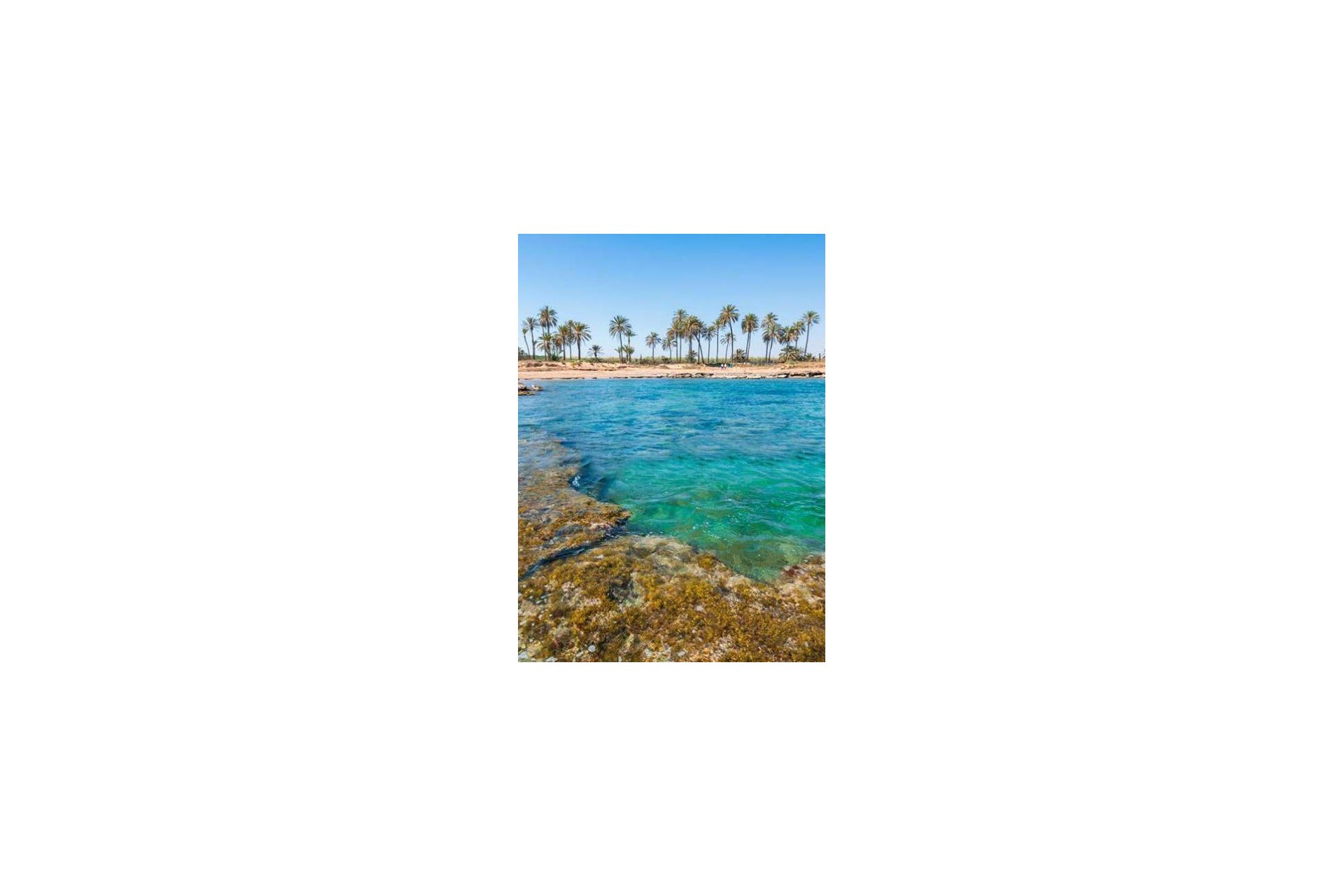 Nybygg - Leilighet -
Torrevieja