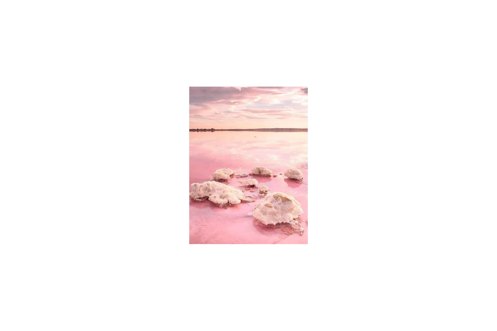 Nybygg - Leilighet -
Torrevieja