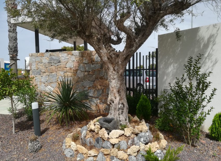 Nybyggnation - Bungalow-Lägenhet -
Torrevieja