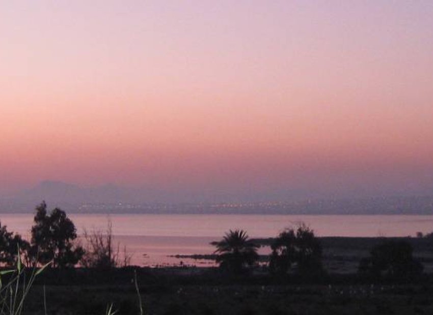 Nybyggnation - Lägenhet -
Guardamar del Segura