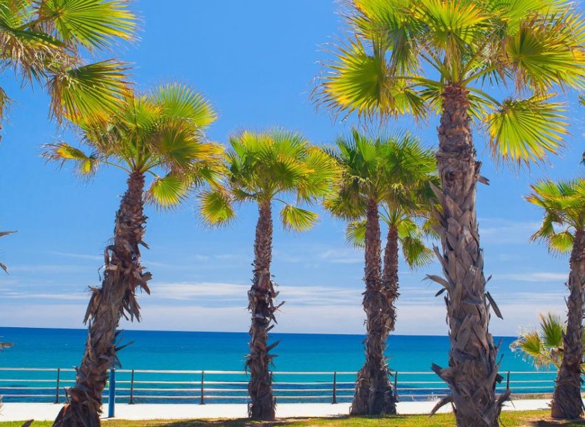 Obra nueva - Apartamento / Piso -
Cabo Roig