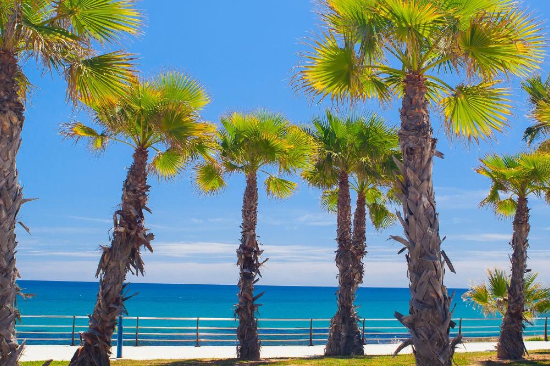 Obra nueva - Apartamento / Piso -
Cabo Roig