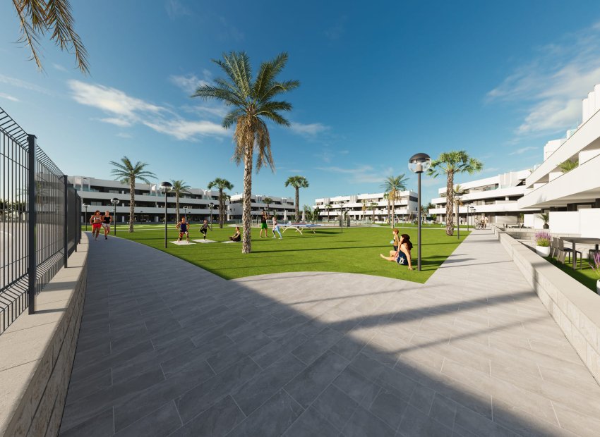 Obra nueva - Apartamento / Piso -
Guardamar del Segura