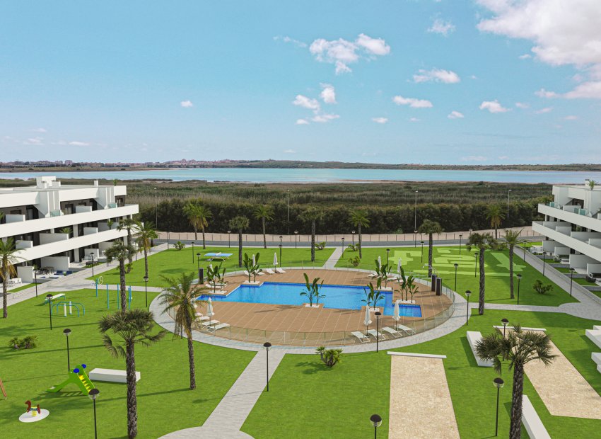 Obra nueva - Apartamento / Piso -
Guardamar del Segura