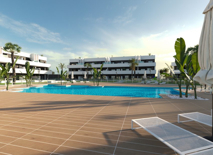 Obra nueva - Apartamento / Piso -
Guardamar del Segura