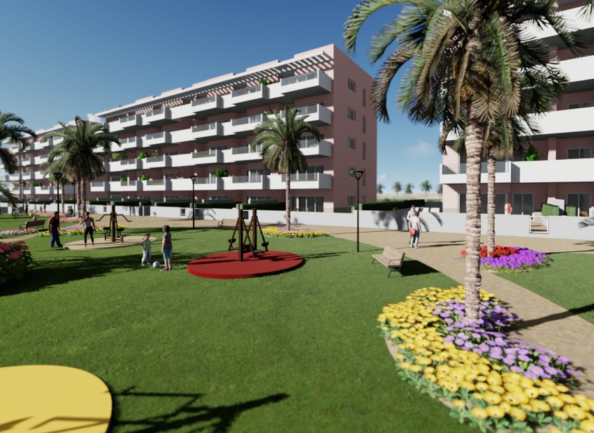 Obra nueva - Apartamento / Piso -
Guardamar del Segura