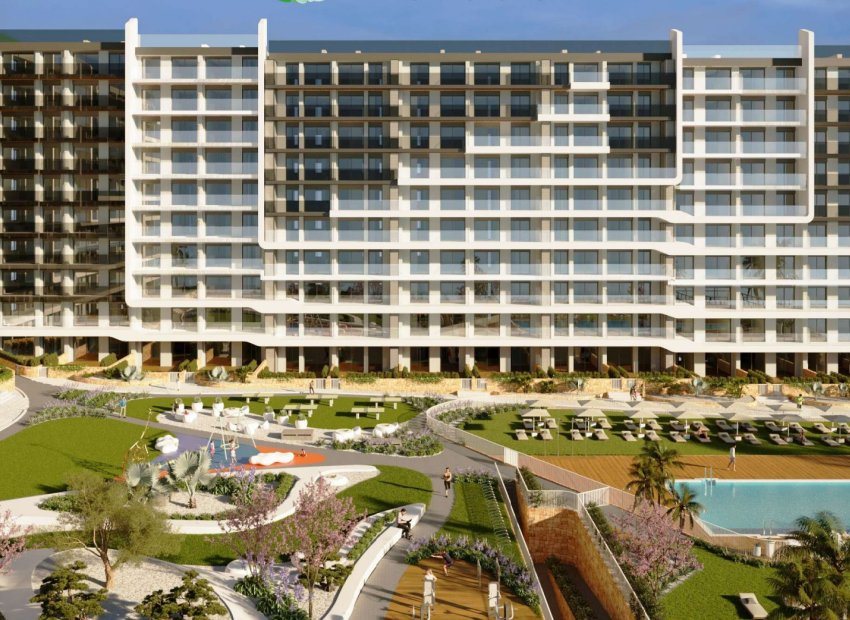 Obra nueva - Apartamento / Piso -
Torrevieja