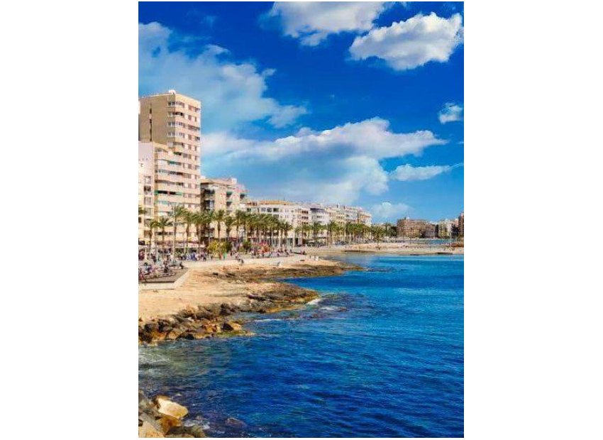 Obra nueva - Apartamento / Piso -
Torrevieja