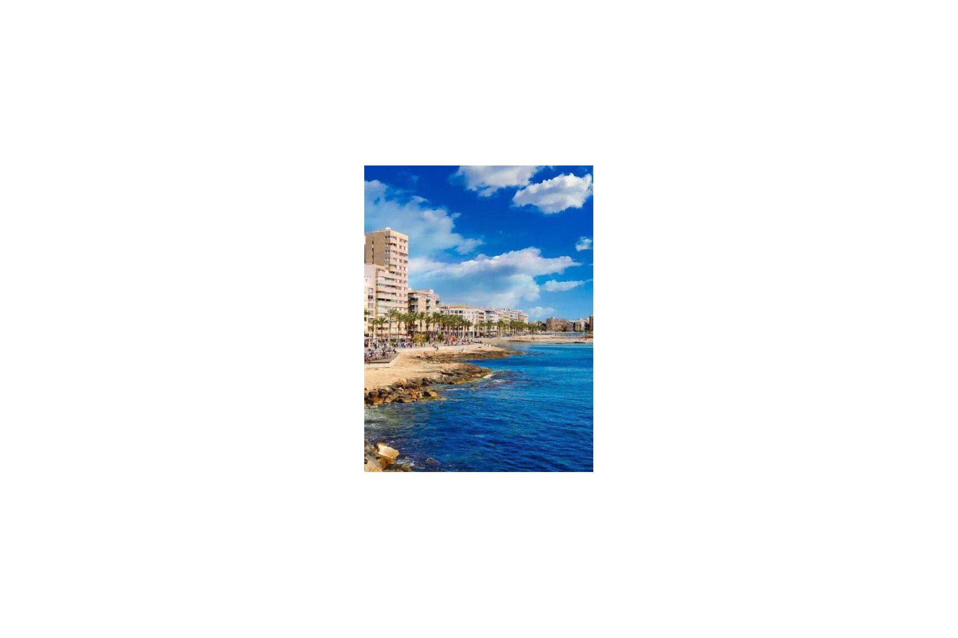 Obra nueva - Apartamento / Piso -
Torrevieja