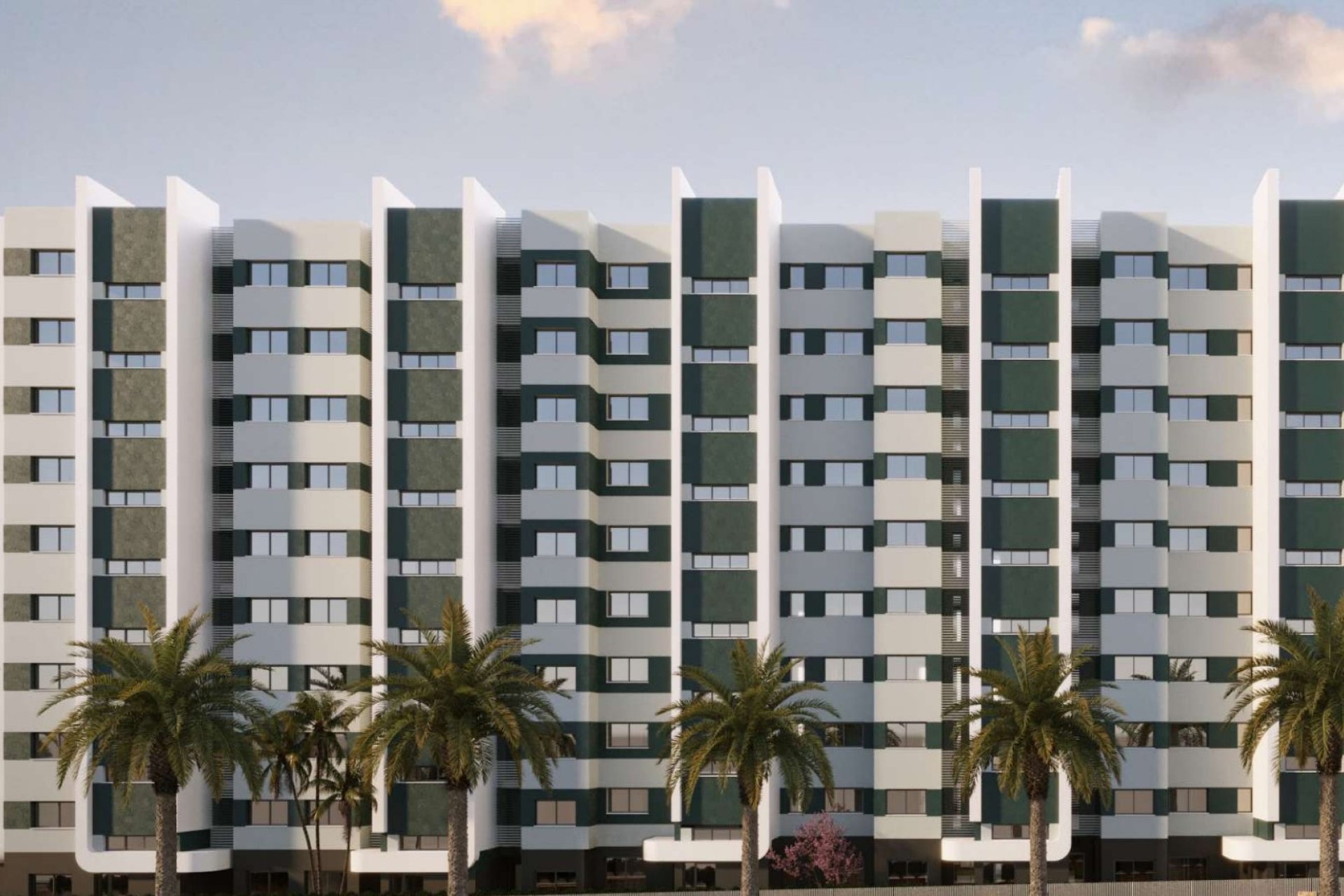 Obra nueva - Apartamento / Piso -
Torrevieja