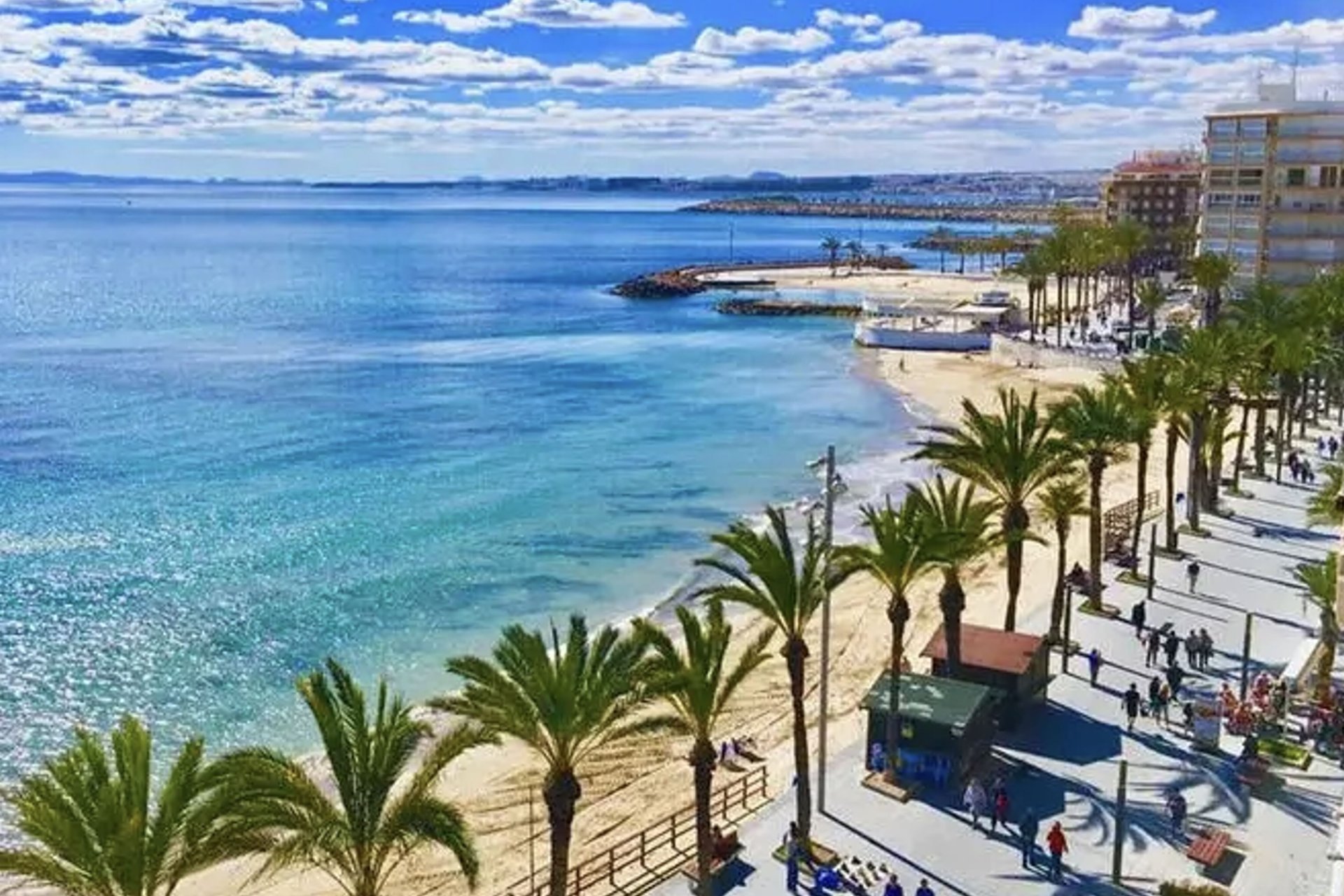 Obra nueva - Apartamento / Piso -
Torrevieja