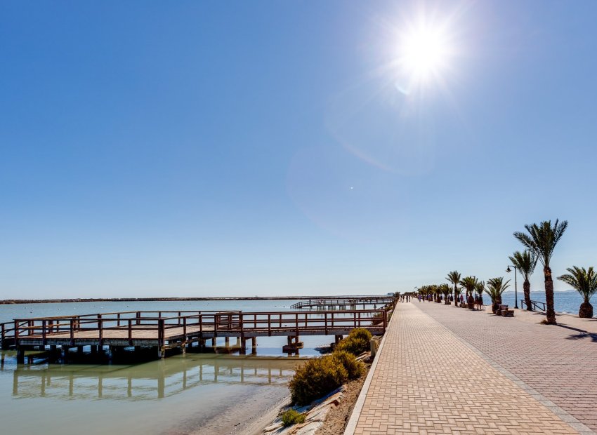 Obra nueva - Villa independiente -
Pilar de la Horadada