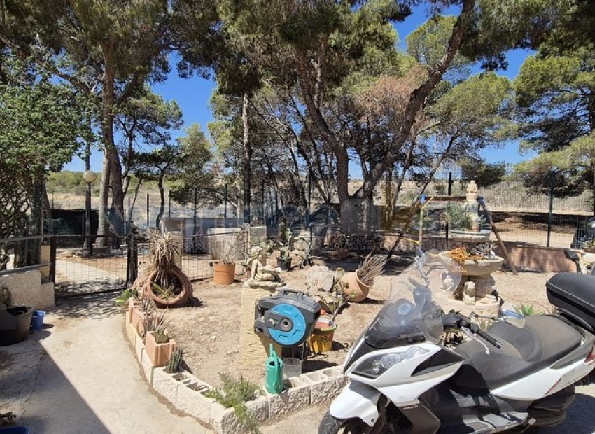 Revente - Villa individuelle -
Torrevieja - Los Balcones