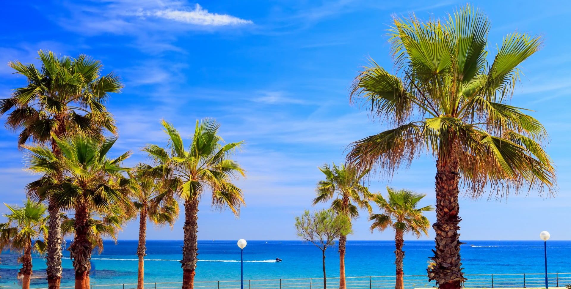 Wenche K&M, servicios inmobiliarios en Orihuela