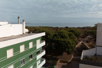 Nybygg - Leilighet -
Guardamar del Segura
