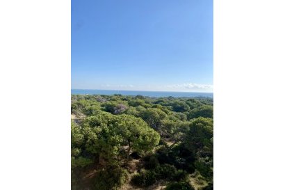 Nybyggnation - Lägenhet -
Guardamar del Segura