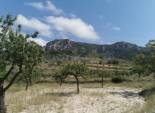 Resale - Detached Villa -
La Romana
