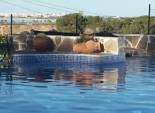 Videresalg - Frittliggende villa -
Torrevieja - Los Balcones - Los Altos del Edén