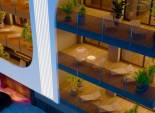 New Build - Apartment / Flat -
Torrevieja