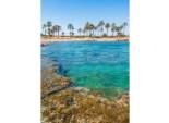 Obra nueva - Apartamento / Piso -
Torrevieja