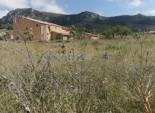 Resale - Detached Villa -
La Romana