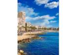 Obra nueva - Apartamento / Piso -
Torrevieja