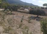 Resale - Detached Villa -
La Romana